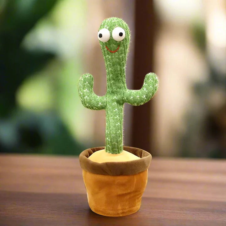 Meet the Groovy Cactus Crew