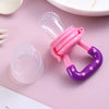 Baby Food Nibbler Pacifier