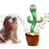 Talking-Singing-Dancing Cactus